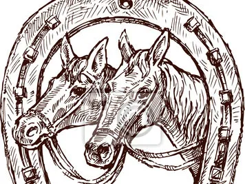 horses in a horseshoe