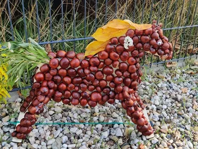 Autumn Decoration Pony with Chestnuts