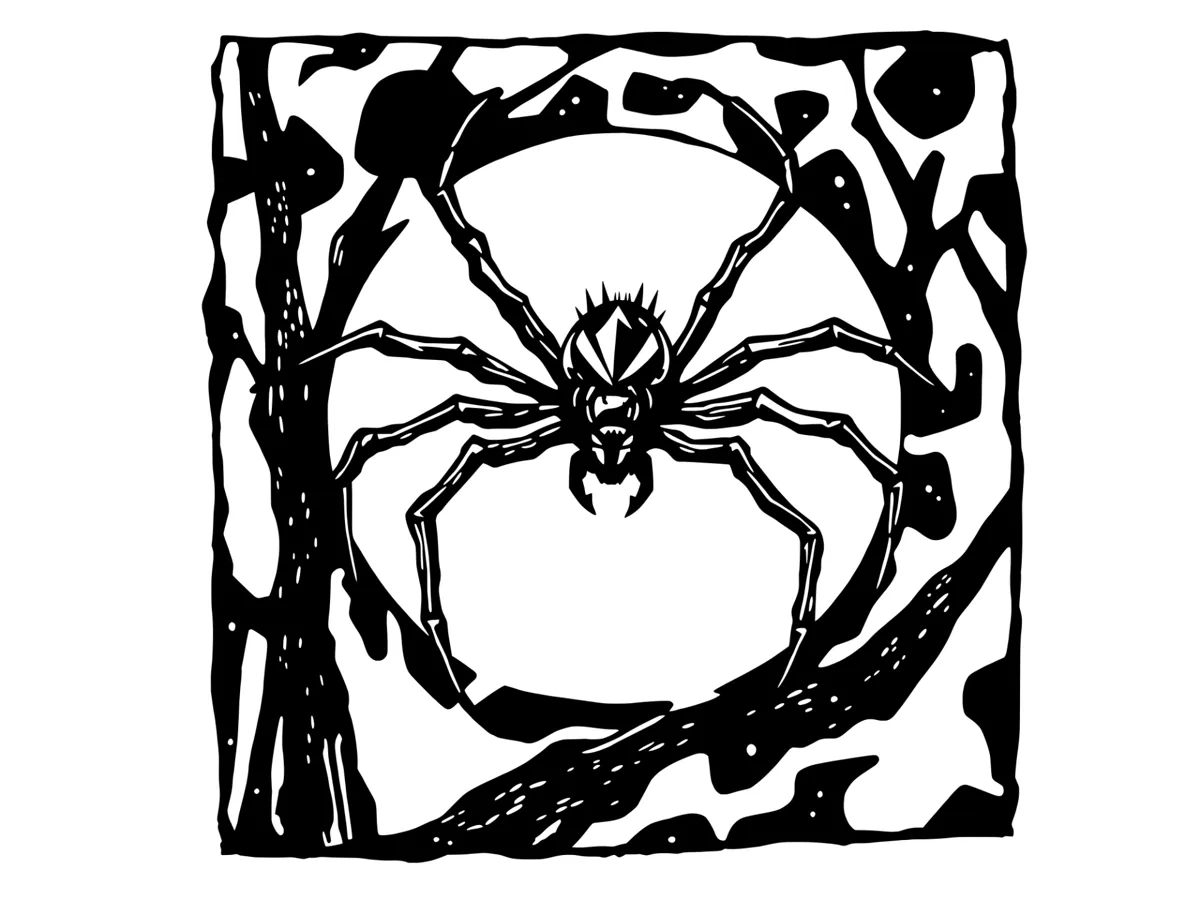 Spider by kitty MakerWorld: Download Free 3D Models - 3D model önizlemesi