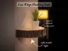 Laser For Basswood