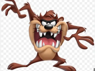 TAZ