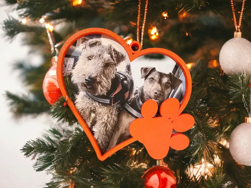 Dog Paw frame - Ornament