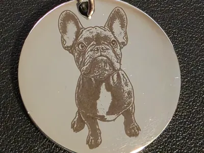French Buldog