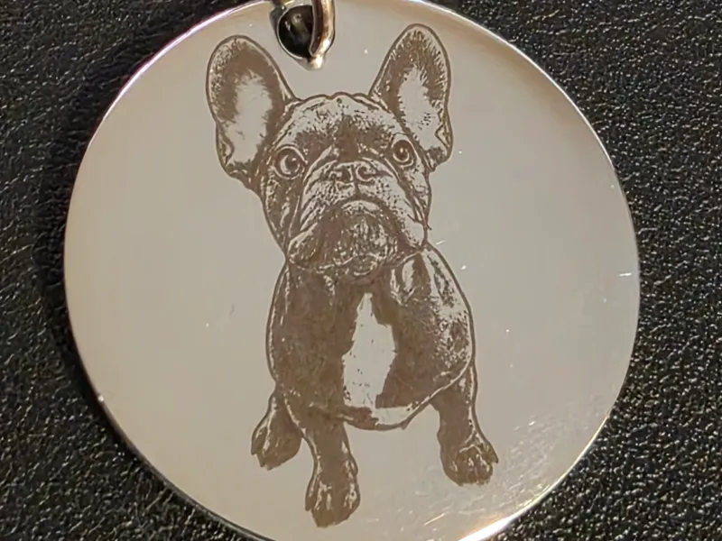 French Buldog