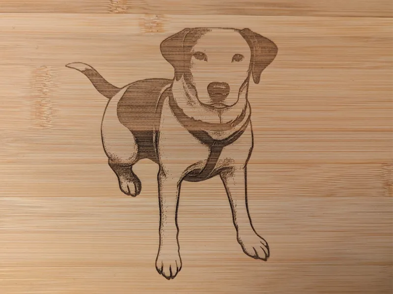 Dalmatian dog Laser