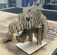 Laser Cutting, 40W Laserr Module