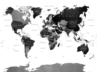 Cool Laser Cut World Map