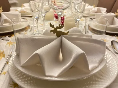 Christmas Napkin Holder