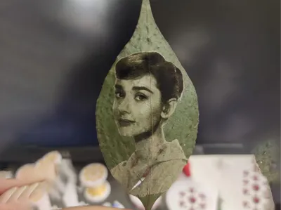 Leaf carving Audrey Hepburn