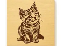 Laser quadretto kitten