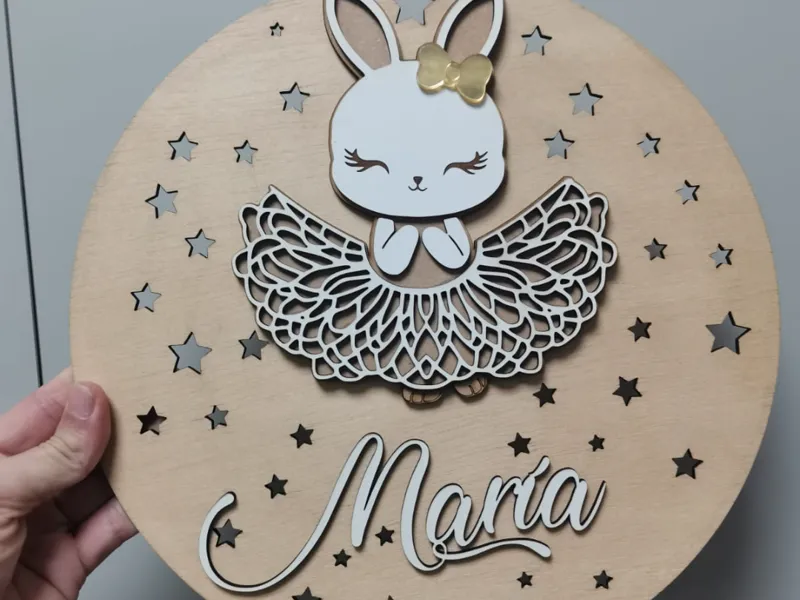 Placa conejo