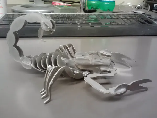 https://makerworld.bblmw.com/makerworld/model/DSUS0000002104888/design/2025-12-11_009260540d8ac.jpg