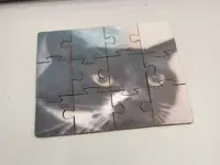 Wooden puzzle