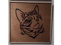 Laser