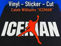 Blade Cut Vinyl - Two Colors