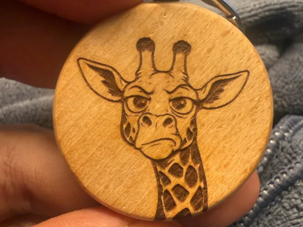 https://makerworld.bblmw.com/makerworld/model/DSUS0000002310078/design/10d40ecf15c372fa.jpeg