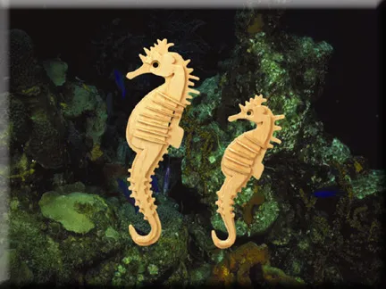 Seahorse puzzle
