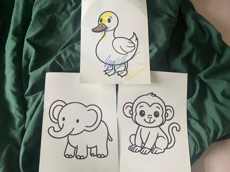 Ausmalbilder Tiere 3 Varianten