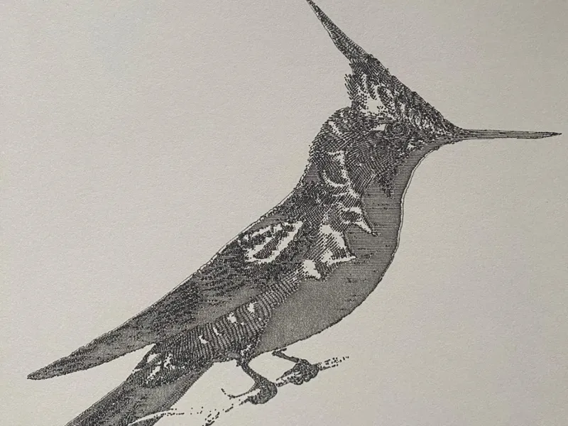Fineliner Bird Sketch 2
