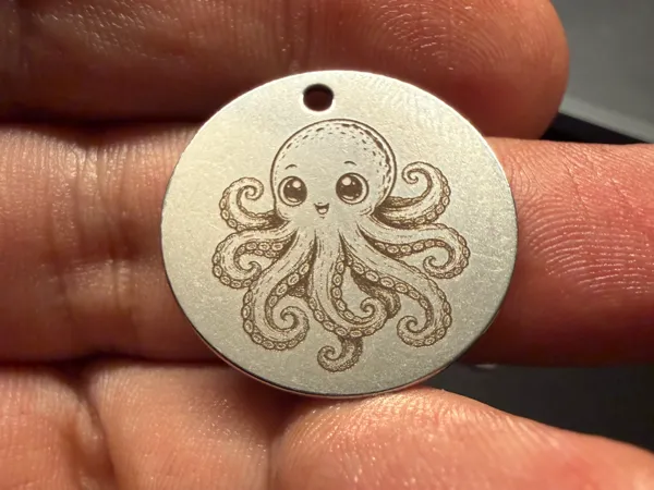 https://makerworld.bblmw.com/makerworld/model/DSUS0000002411665/design/b550e62add40082b.jpeg