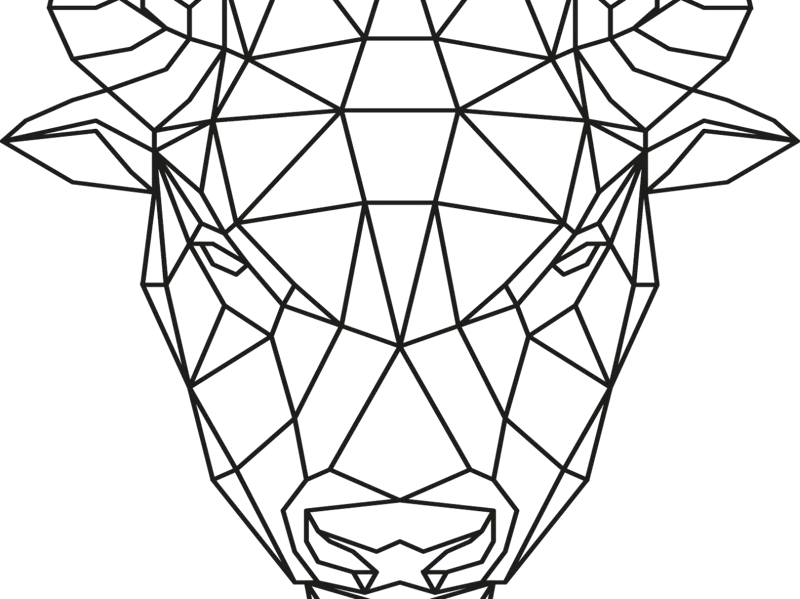 Animali geometrici