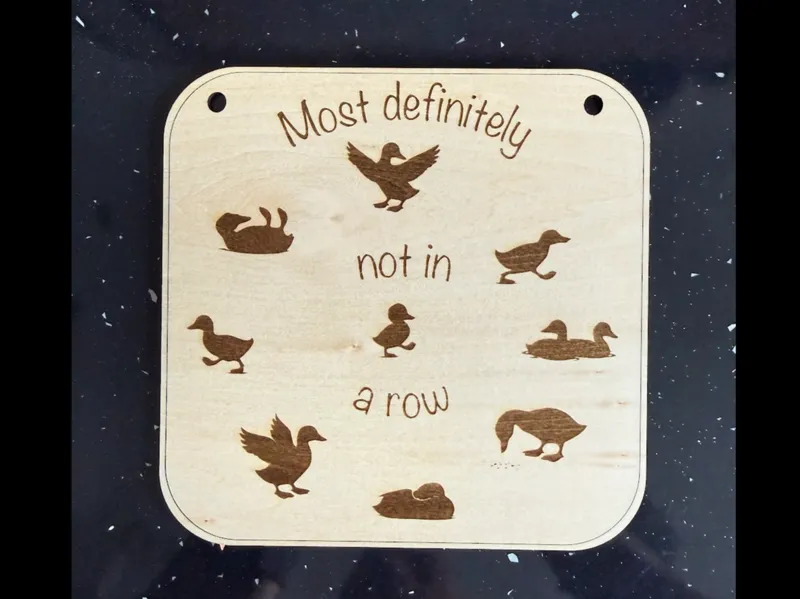 Ducks not in a row sign