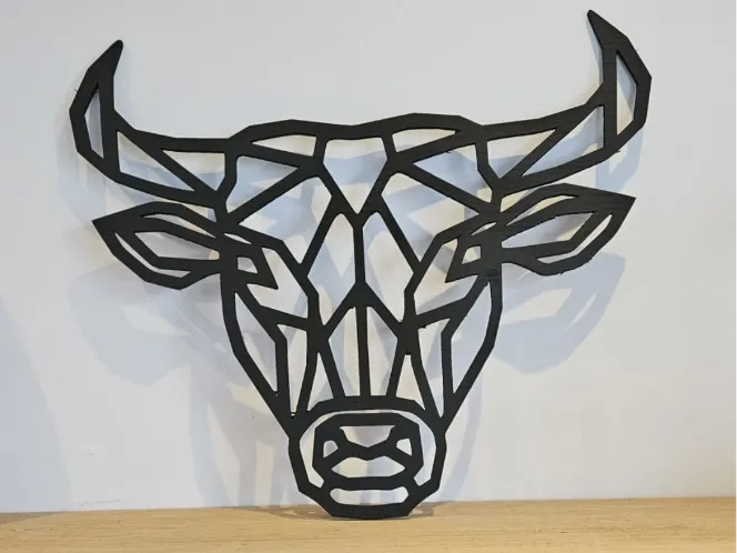 bull geometric
