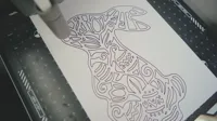 Draw Coloring Lines | 画涂色线条