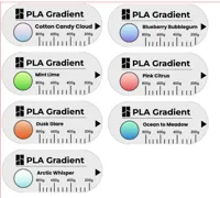 Bambu PLA Gradient Labels