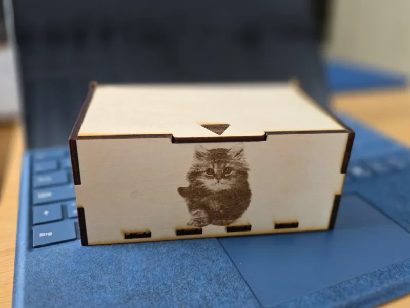 Simple lid box - Cat edition