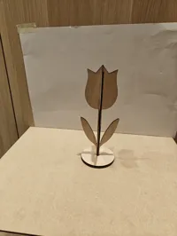 Single easter tulip