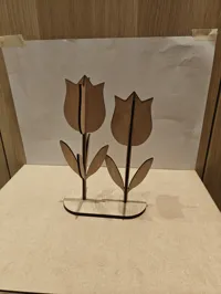 Twin easter tulip