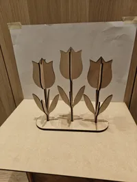 Triple easter tulip