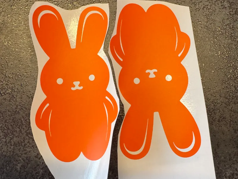 Bunny