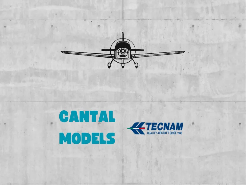 ✐ TECNAM P2002 #1 | 2D WALL ART