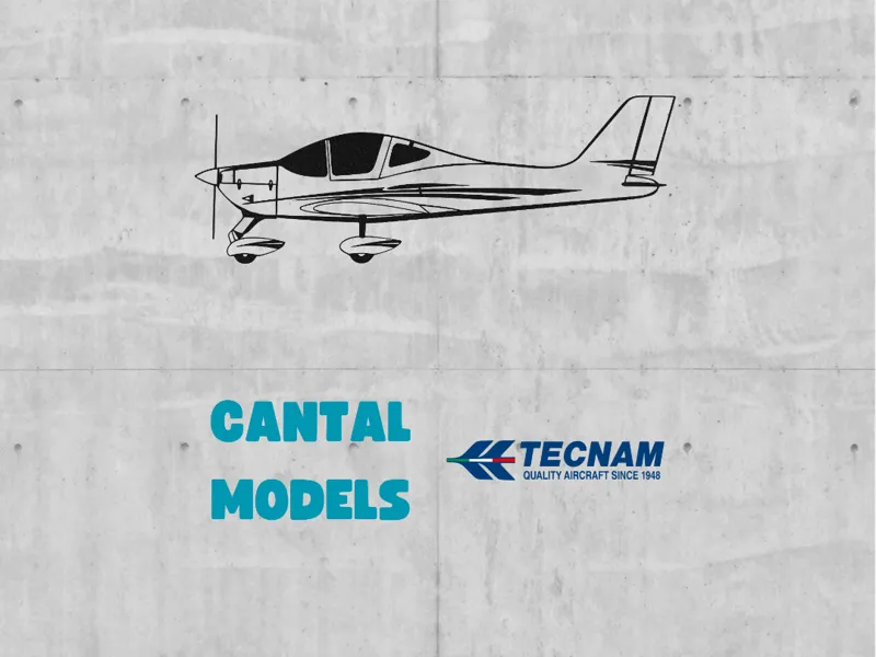 ✐ TECNAM P2002 #2 | 2D WALL ART