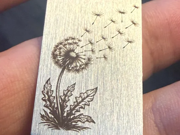 https://makerworld.bblmw.com/makerworld/model/DSUS0000002593895/design/47c69c357159a823.jpeg