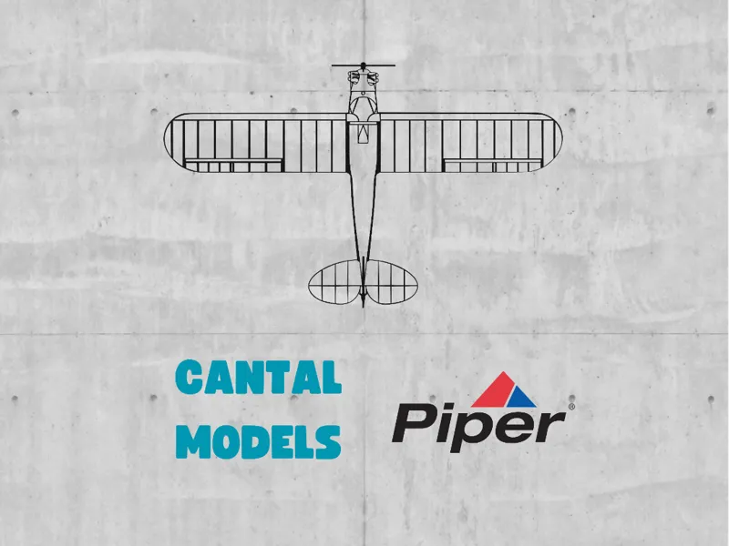 ✐ PIPER J-3 CUB #1 | 2D WALL ART