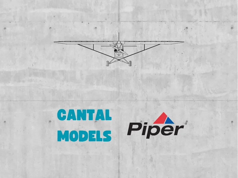 ✐ PIPER J-3 CUB #2 | 2D WALL ART