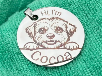 Pet ID Tag with Dog Portrait and Name