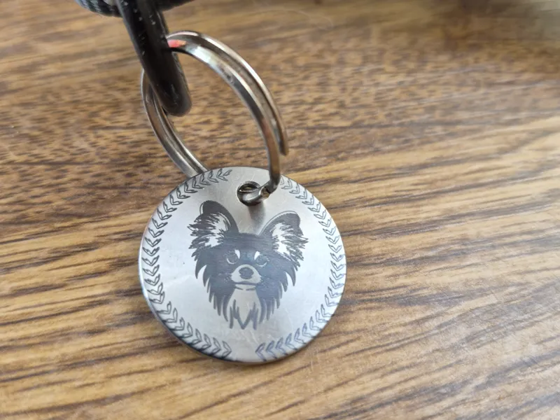 Gravure Médaille pour Chien, personnalisable