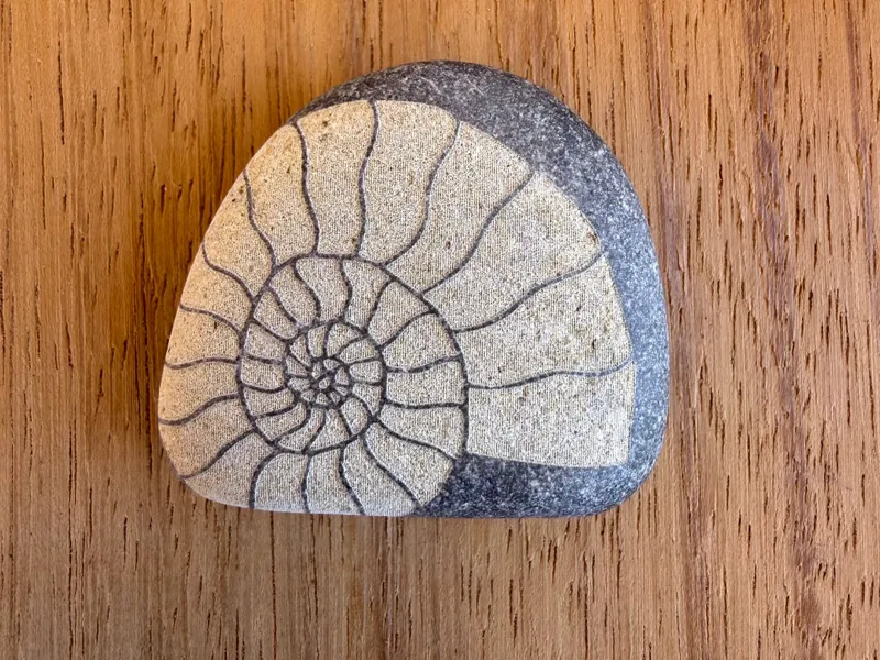Ammonite stone