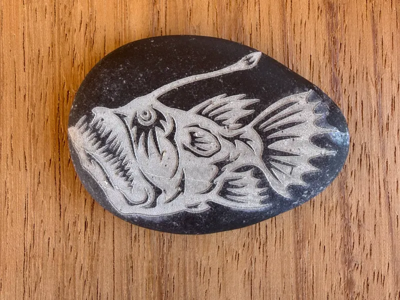 Angelfish stone