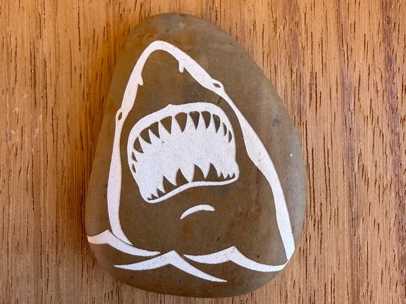 Shark in stone