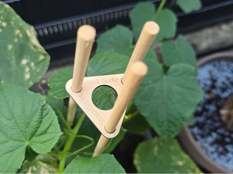 Pflanzstab Halter
