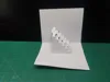Knife Cutting