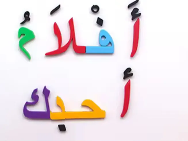 Eva magnetic basamallah custom