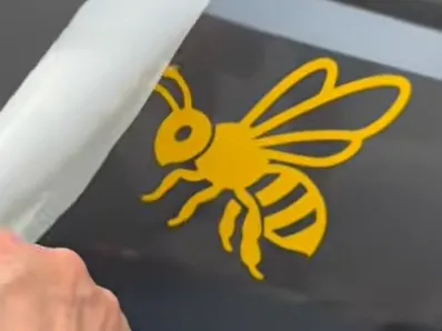 Bee on bus