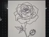 Draw