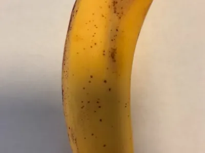 Fake banana